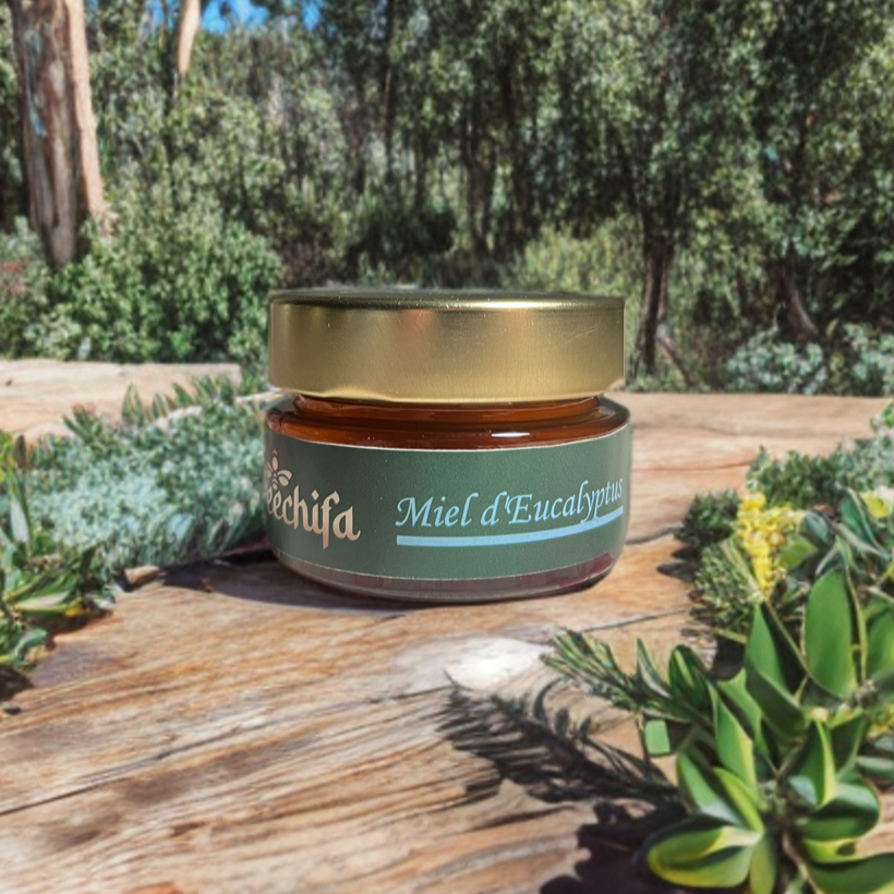 Miel d'eucalyptus
