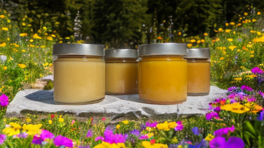 Miel brut artisanal : bienfaits et utilisations au quotidien
